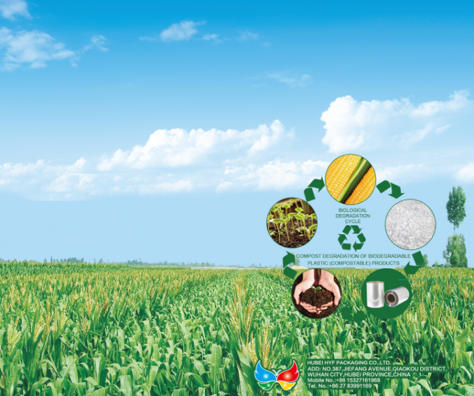 100 Compostable PLA Biodegradable Film , Polylactic Acid Film For